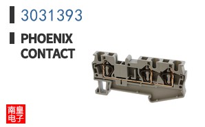 3031393