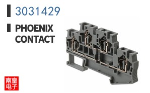 3031429
