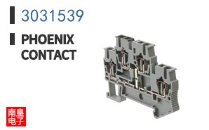 3031539