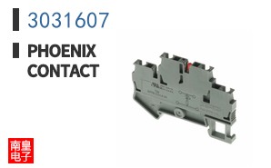 3031607