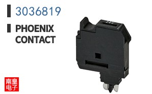 3036819