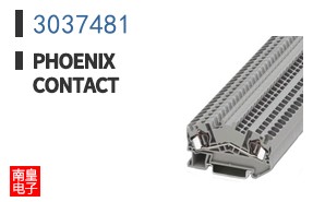 3037481