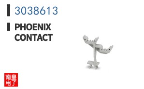 3038613