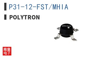 P31-12-FST/MHIA
