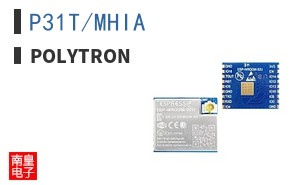 P31T/MHIA