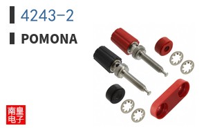 4243-2