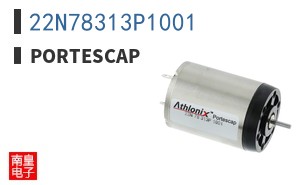 22N78313P1001