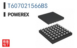 T607021566BS