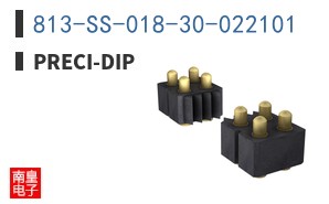 813-SS-018-30-022101