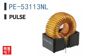 PE-53113NL