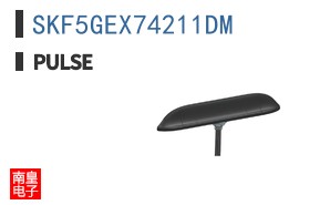 SKF5GEX74211DM