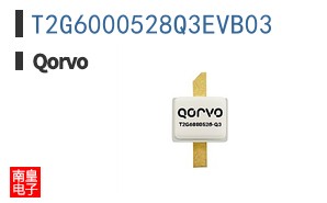 T2G6000528Q3EVB03