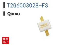 T2G6003028-FS