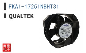 FKA1-17251NBHT31