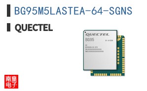 BG95M5LASTEA-64-SGNS