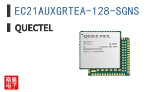 EC21AUXGRTEA-128-SGNS