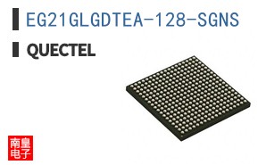 EG21GLGDTEA-128-SGNS