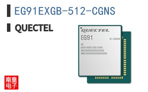EG91EXGB-512-CGNS