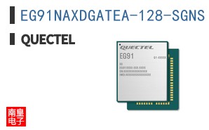 EG91NAXDGATEA-128-SGNS