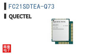 FC21SDTEA-Q73