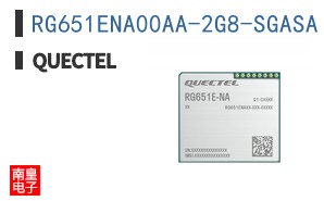 RG651ENA00AA-2G8-SGASA