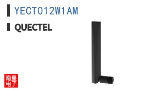 YECT012W1AM