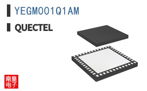 YEGM001Q1AM