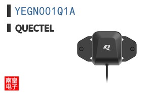 YEGN001Q1A