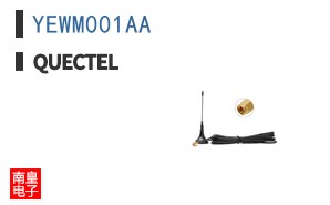 YEWM001AA