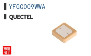 YFGC009WWA