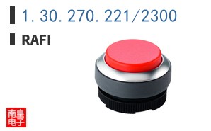 1.30.270.221/2300