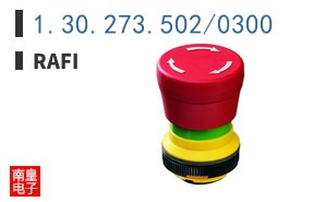 1.30.273.502/0300