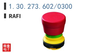 1.30.273.602/0300