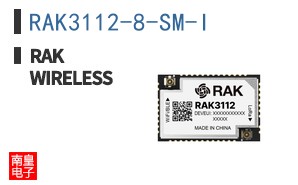 RAK3112-8-SM-I