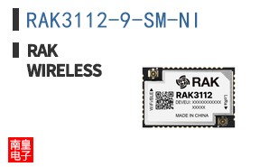 RAK3112-9-SM-NI