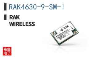 RAK4630-9-SM-I