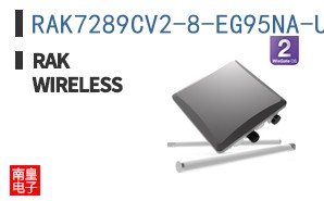 RAK7289CV2-8-EG95NA-US915