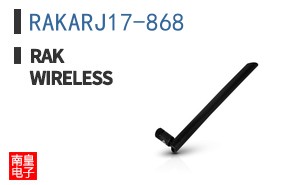 RAKARJ17-868