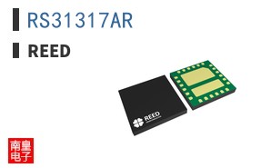 RS31317AR