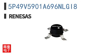5P49V5901A696NLGI8