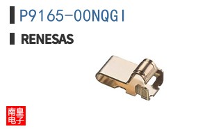P9165-00NQGI