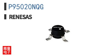 P95020NQG