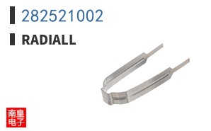 282521002