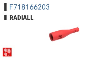 F718166203
