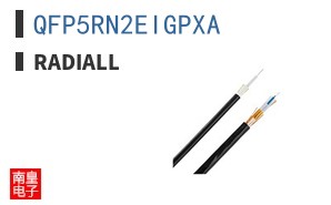 QFP5RN2EIGPXA