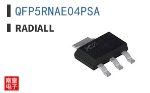 QFP5RNAE04PSA