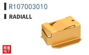 R107003010