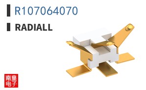R107064070