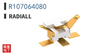 R107064080