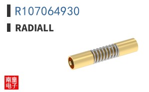 R107064930
